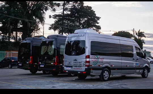 Vans Elias Tour